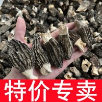 特價(jià)羊肚菌干貨 酒店餐飲菌湯包專(zhuān)用便宜食用菌產(chǎn)地大量批發(fā)500克  2件起批