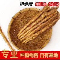 鐵棍山藥河南焦作溫縣壚土正宗新鮮長(cháng)5斤批鐵根淮山鐵懷山鐵桿棒 5個(gè)起批