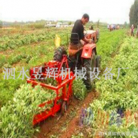 多功能根莖作物采收機 鏈條式瘋狂花生收獲機 不落果收獲設備