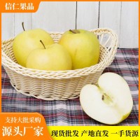 當季山東特產(chǎn)煙臺黃金奶油富士冰糖心帶箱10斤裝農場(chǎng)直供現摘現發(fā)