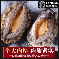 零售批發(fā)去內臟鮑魚(yú)鮮凍鮑魚(yú)鮮活海鮮海產(chǎn)大鮑魚(yú)新鮮冷凍海捕野生