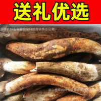 云南四川新鮮雞樅菌不開(kāi)傘大白雞樅菌大雞樅傘把菇雞肉菌順豐包郵