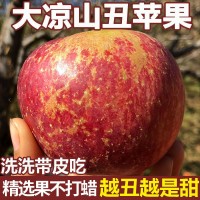 一件代發(fā) 四川大涼山丑蘋(píng)果冰糖心野生水果新鮮應季超脆甜紅富士