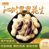 現貨供應沁州黑黑花生五谷豆漿原料辦公室休閑零食小吃 2件起批