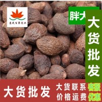 胖大海 大海 干貨 胖大海 500克初級農產(chǎn)品