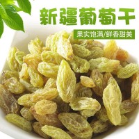 新疆特產(chǎn)無(wú)核大粒綠提子葡萄干休閑食品500克裝 葡萄干  2袋起批