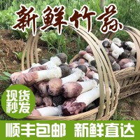 云南特產(chǎn)新鮮竹蓀散裝包郵清香爽口食用菌產(chǎn)地供應新鮮帶裙竹蓀  2件起批