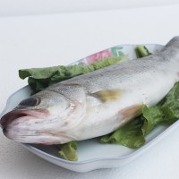 連云港水產(chǎn)批發(fā)海鮮鮮活鱸魚(yú)新鮮大鱸魚(yú)花鱸冷凍鱸魚(yú)公司飯店團購