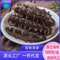 批發(fā)鮮蒸即食海參鮮冷凍大連海參中科水產(chǎn)廠(chǎng)家獐子港即食海參