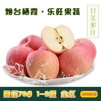 山東煙臺蘋(píng)果 規格65-70#小蘋(píng)果 出口用蘋(píng)果 10斤裝 含運費