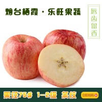 生鮮水果 煙臺小蘋(píng)果 75m1-2級 棲霞 紅富士蘋(píng)果 凈重10斤快遞裝