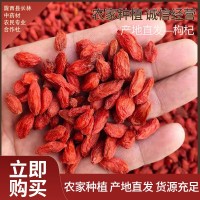 長(cháng)林中藥材紅枸杞新貨頭茬干貨散裝藥食同源大顆粒泡茶煲湯