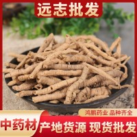 農產(chǎn)品批發(fā)遠志 產(chǎn)地貨源散裝遠志肉抽芯率高各種規格 量大從優(yōu)