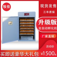 加工生產(chǎn)全自動(dòng)孵化器 雞蛋孵化機 鴨蛋孵化設 鵝蛋孵化