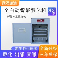 全自動(dòng)孵化機 智能家禽孵化機 大型控溫卵蛋器 大型工業(yè)卵蛋器