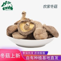 慶元香菇干貨 冬菇厚菇 250g廠(chǎng)家供應各類(lèi)大小品質(zhì)餐飲加工批發(fā)