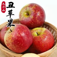 【大涼山鹽源丑蘋(píng)果】脆甜多汁 紅將軍紅富士禮盒8斤新鮮水果  2箱起批