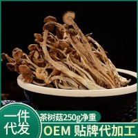 【一件代發(fā)】古田茶樹(shù)菇不開(kāi)傘250克南北干貨菌菇煲湯批發(fā)未開(kāi)傘