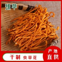 東北干貨金蟲(chóng)草蟲(chóng)草花北蟲(chóng)草蛹蟲(chóng)草中條孢子頭基地供應三公斤起批