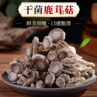 產(chǎn)地新鮮鹿茸菇500克 云南特產(chǎn)食用菌不開(kāi)傘鹿茸菇新鮮蘑菇批發(fā) 2盒起批