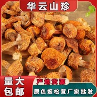 云南產(chǎn)地姬松茸長(cháng)腿短腿蘑菇 酒店煲湯食用菌干貨500g散裝批發(fā) 2件起批