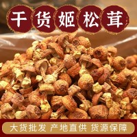 云南特產(chǎn)食用菌干貨 姬松茸干貨 巴西菇短腿小菇產(chǎn)地批發(fā)人工挑選