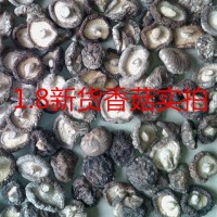 產(chǎn)地直銷(xiāo)剪香菇腳新貨小香菇干貨1.8規格批發(fā)量大價(jià)優(yōu)