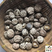 白花菇干貨500g包郵西峽特產(chǎn)農家干香菇新品椴木出口大小花菇