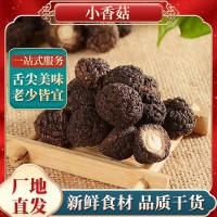 小香菇金錢(qián)菇珍珠菇福建特產(chǎn)食用菌農產(chǎn)品干貨直銷(xiāo) 1.5/2cm