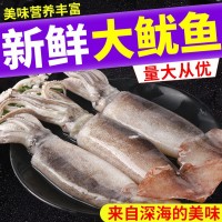 大魷魚(yú) 整只 冷凍香辣魷魚(yú)須海鮮大章魚(yú)足深海魷魚(yú)頭八爪魚(yú)鮮活水