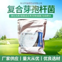 復合芽孢桿菌 水溶肥沖施肥 生根壯根活化土壤 農作物化肥廠(chǎng)家