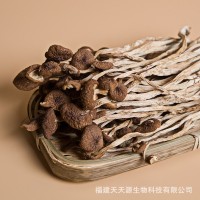 天天源 禮盒裝茶樹(shù)菇135g 古田干貨茶樹(shù)菇煲湯食材菌菇類(lèi)香菇批發(fā)