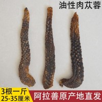 短粗型肉蓯蓉 產(chǎn)地內蒙古阿拉善油蓯蓉 軟大蕓粗大貨 (3根一斤）