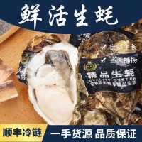 山東乳山帶殼新鮮生蠔500g鮮活牡蠣海鮮批發(fā)海蠣子代發(fā)廠(chǎng)家