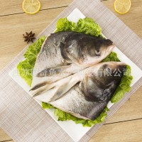 新鮮冷凍白鰱魚(yú)頭供應批發(fā)帶肉速凍大胖頭魚(yú)廠(chǎng)商供貨酒店食材