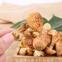 云南特產(chǎn)干貨姬松茸干巴菌批發(fā)代理量大從優(yōu)1000g起批