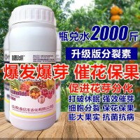 1000毫升多肉植物細胞分裂素催芽劑促花促生長(cháng)?；ū９~面肥正品