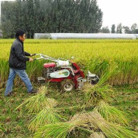 常青機械多功能全自動(dòng)收割打捆一體機 水稻小麥手扶自走式割捆機