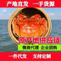 大閘蟹蘇州陽(yáng)澄湖鎮中秋禮品企業(yè)團購批發(fā)代理螃蟹禮盒提貨卡禮券