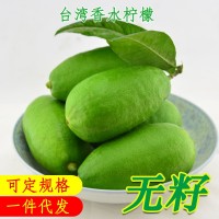 一件代發(fā)海南無(wú)籽香水檸檬臺灣子彈頭長(cháng)條奶茶店專(zhuān)用檸檬5斤整箱