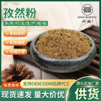 廠(chǎng)家供應燒烤調味料家用烤肉羊肉串調料餐飲燒烤調味品孜然粉