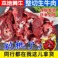 本地散養新鮮黃牛生牛肉牛碎肉冷凍商用冷凍大塊碎牛肉批發(fā)牛肉塊