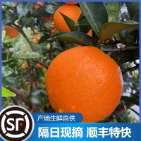 云陽(yáng)紐荷爾新鮮水果臍橙維C橙子批發(fā)廣柑5斤整箱現摘應季臍橙現貨