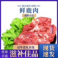 鮮鹿肉 吉林鹿鄉鹿肉鹿場(chǎng)批發(fā)鹿產(chǎn)品真空包裝新鮮冷鏈直發(fā)鹿肉