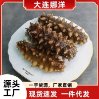 即食刺參海參大連特產(chǎn)遼參500g鮮活滲干貨大連海參盒裝特價(jià)