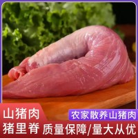 廠(chǎng)家直供阿文特種山豬肉豬里脊現殺冷鏈運輸肉質(zhì)鮮嫩山豬肉豬里脊