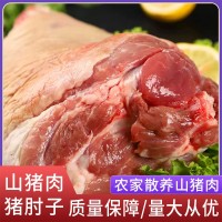 廠(chǎng)家直供阿文特種山豬肉豬肘子現殺冷鏈運輸肉質(zhì)鮮嫩山豬肉豬肘子