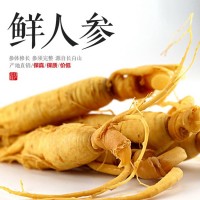 批發(fā)新鮮人參 長(cháng)白山特產(chǎn)人參泡酒煲湯人參 東北特產(chǎn)人參一件代發(fā)