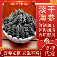 廠(chǎng)家批發(fā)大連淡干海參遼參高刺海參干貨批發(fā)100g簡(jiǎn)易禮盒半干海參