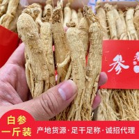 長(cháng)白山干人參500g人參 原皮白參7年大支生曬參產(chǎn)地直發(fā)地攤人參